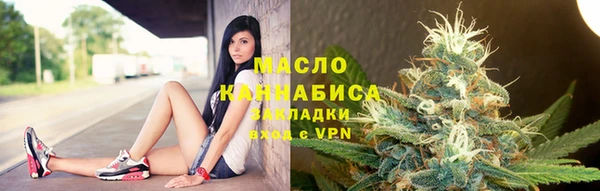 дмт Горняк