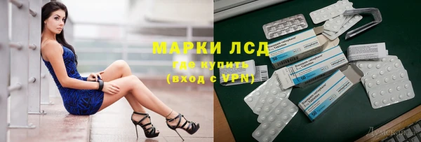 шишки Горно-Алтайск