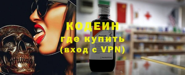 шишки Горно-Алтайск