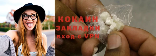 шишки Горно-Алтайск