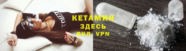 шишки Горно-Алтайск