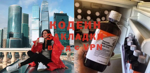 шишки Горно-Алтайск