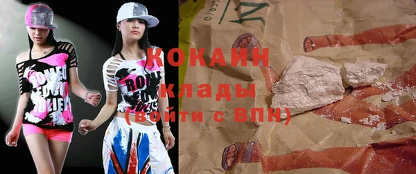 шишки Горно-Алтайск