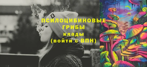 шишки Горно-Алтайск