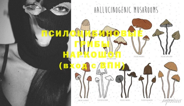 дмт Горняк