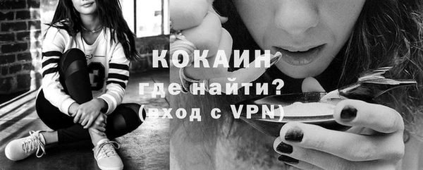 дмт Горняк