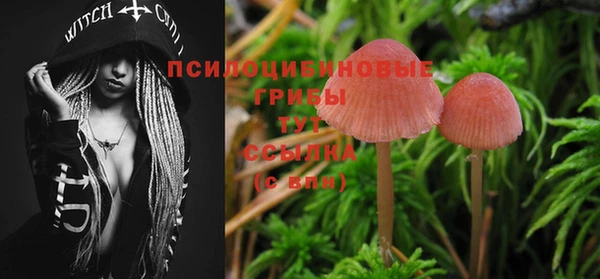 дмт Горняк