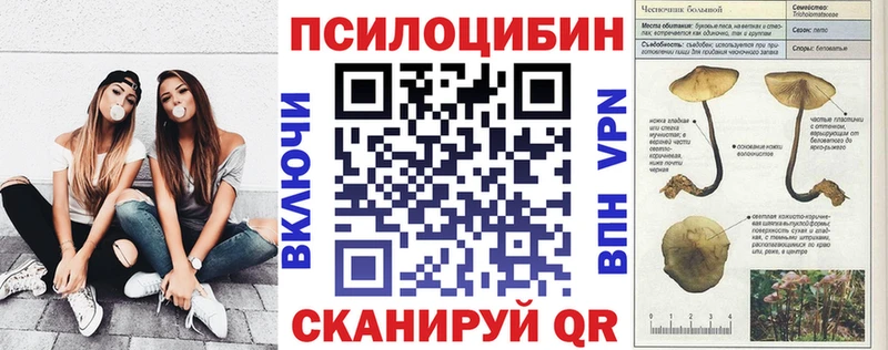 как найти   Ногинск  Псилоцибиновые грибы Magic Shrooms 